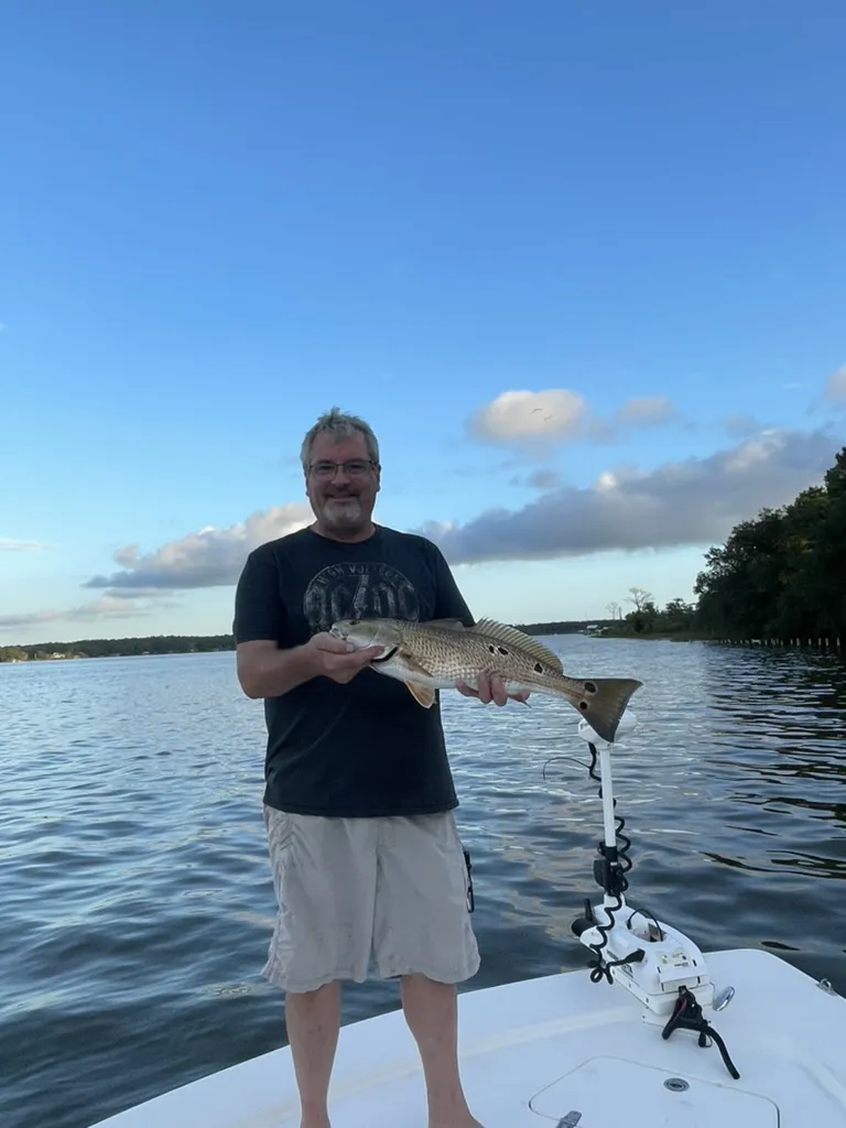 Fishing boat charters catch fish in Fairhope AL