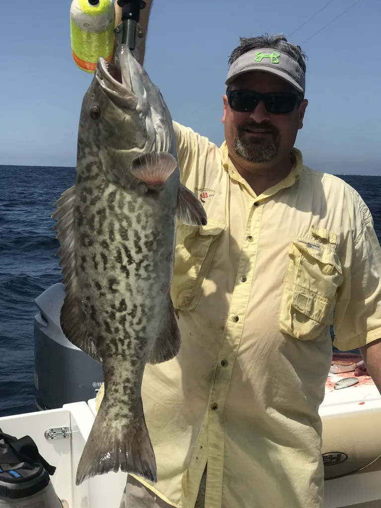 Mobile Bay Fishing Calendar Grouper fishing charter Sarasota FL and Fairhope AL