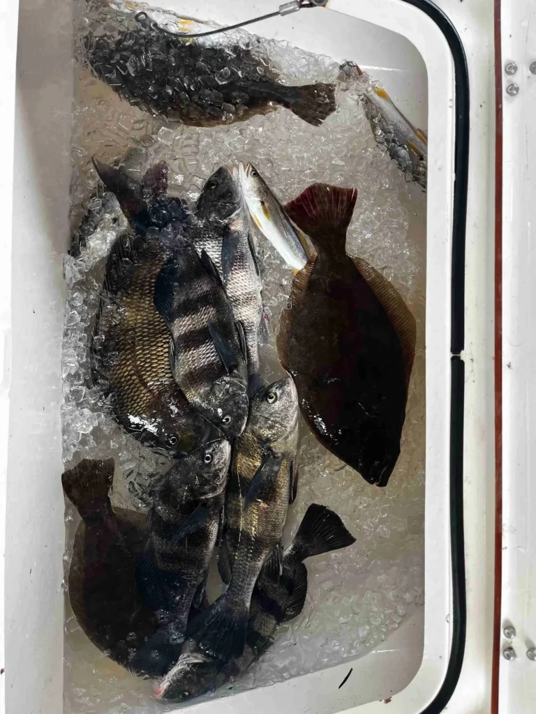 inshore slam reelfroggy charters