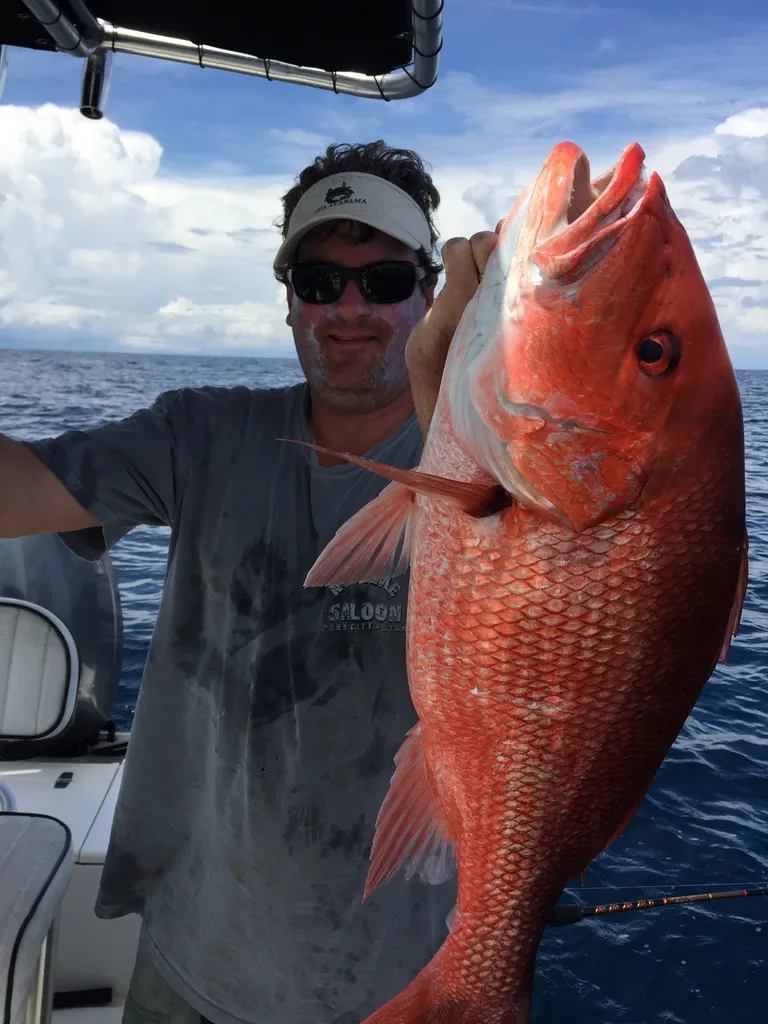 Sarasota fishing calendar red snapper charter tampa fl