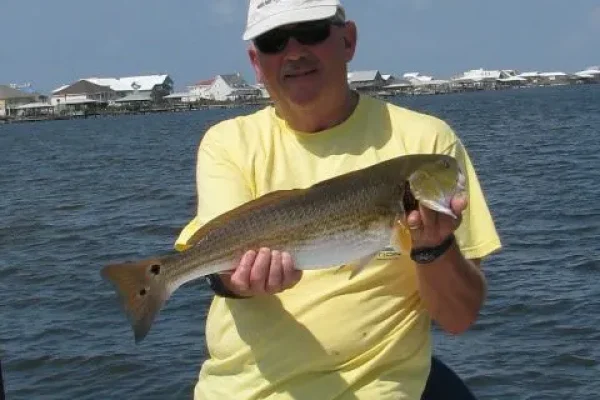 catch Redfish Sarasota FL boat charter